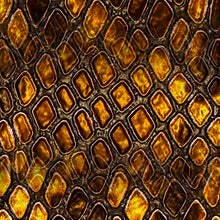Load image into Gallery viewer, Scarves #Fly
